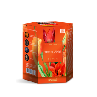 Тюльпаны Салют купить в Астрахани | astrahan.salutsklad.ru