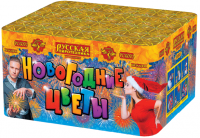 Новогодние цветы Фейерверк купить в Астрахани | astrahan.salutsklad.ru