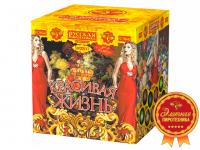 Красивая жизнь Фейерверк купить в Астрахани | astrahan.salutsklad.ru