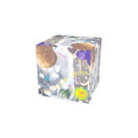 Новогодняя ночь Салют купить в Астрахани | astrahan.salutsklad.ru