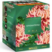 Хризантемы Фейерверк купить в Астрахани | astrahan.salutsklad.ru