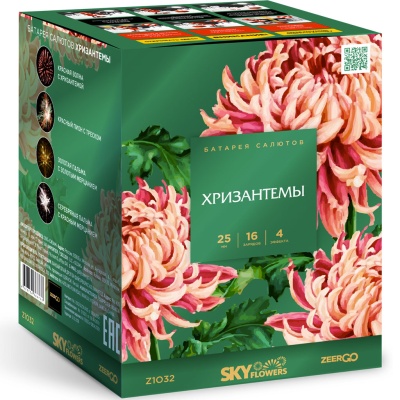 Хризантемы Фейерверк купить в Астрахани | astrahan.salutsklad.ru