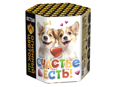 Счастье есть! Салют купить в Астрахани | astrahan.salutsklad.ru